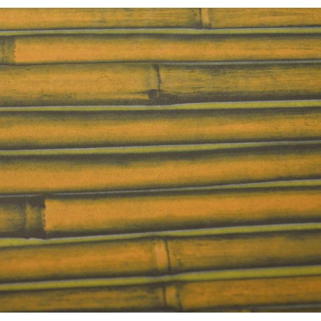 Feuille Décopatch 30x38.5cm bambou 373