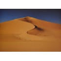 Carte 15 x 10,5 cm Dunes de sable