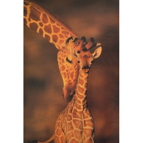Carte 15 x 10,5 cm Girafes