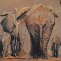Carte 14 x 14 cm Famille éléphant