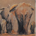 Carte 14 x 14 cm Famille éléphant