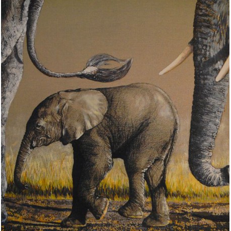 Carte 14 x 14 cm Bébé éléphant