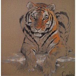 Carte 14 x 14 cm Tigre