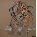 Carte 14 x 14 cm Tigre