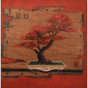 Carte 14 x 14 cm Erable japonais