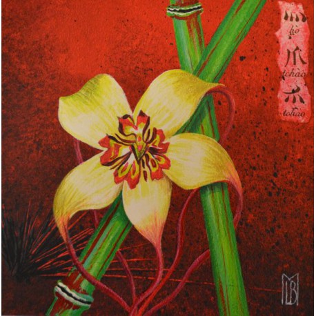 Carte 14 x 14 cm Orchidée 2