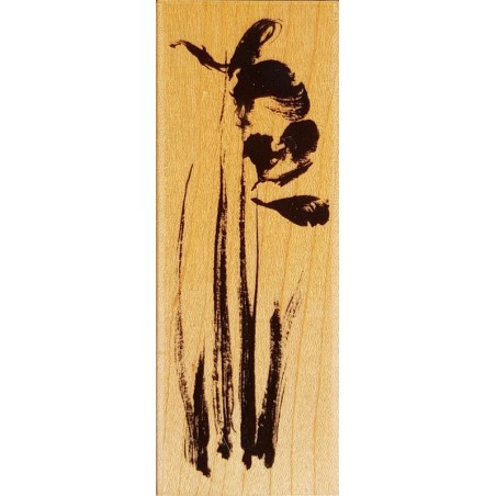 Tampon Andante 115 x 42 mm