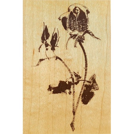 Tampon Brush Rose 110 x 75 mm