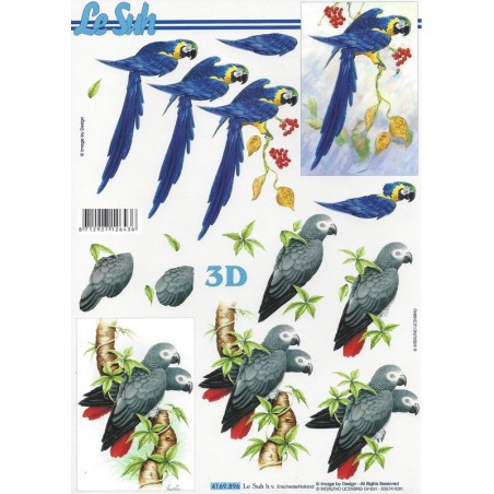 Feuille 3D A4 à découper, Perroquets