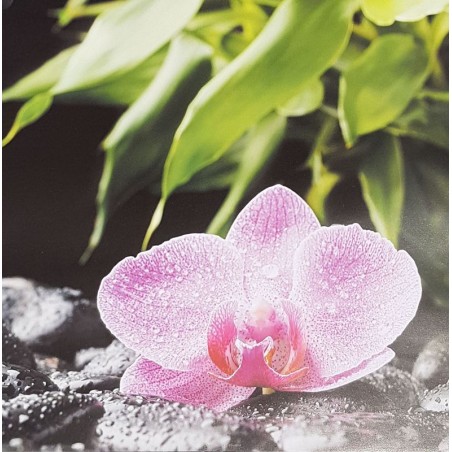 Image 160 g/m2 30 x 30 cm Orchidée rose