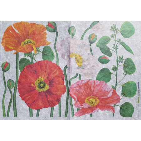 Papier de riz 70 x 50 cm Coquelicots