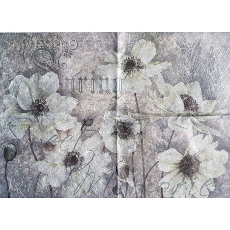 Papier de riz 70 x 50 cm Anémones