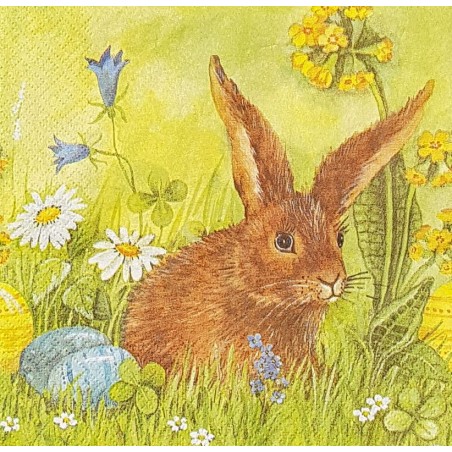 Serviette Lapin dans le pré