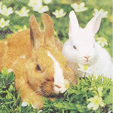 Serviette Lapin brun et blanc