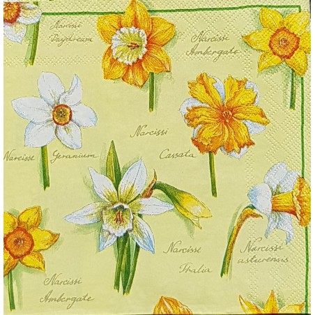 Serviette Narcisses