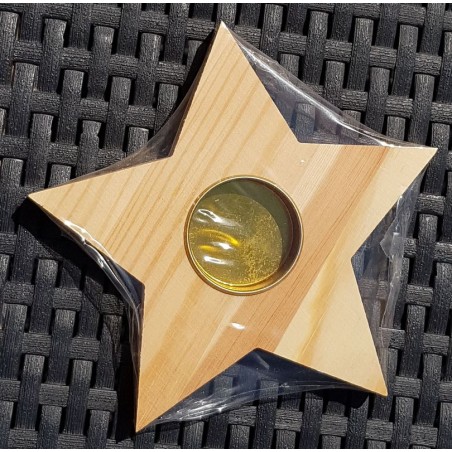 Etoile photophore 15 cm